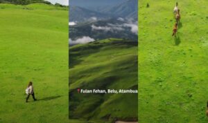 Cekricek.id, Objek Wisata – Berkunjung ke Fulan Fehan tentunya akan membuat siapa saja akan terpana dengan keindahan padang rumputnya yang luas. Jika dilihat sekilas, pemandangan hijau ini dapat mengingatkan kita pada pemandangan serupa di Selandia Baru.