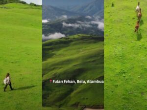 Cekricek.id, Objek Wisata – Berkunjung ke Fulan Fehan tentunya akan membuat siapa saja akan terpana dengan keindahan padang rumputnya yang luas. Jika dilihat sekilas, pemandangan hijau ini dapat mengingatkan kita pada pemandangan serupa di Selandia Baru.