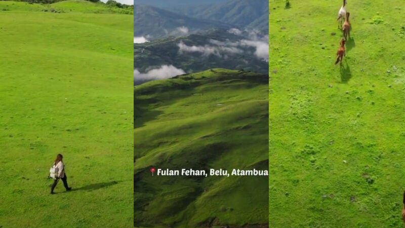 Cekricek.id, Objek Wisata – Berkunjung ke Fulan Fehan tentunya akan membuat siapa saja akan terpana dengan keindahan padang rumputnya yang luas. Jika dilihat sekilas, pemandangan hijau ini dapat mengingatkan kita pada pemandangan serupa di Selandia Baru.
