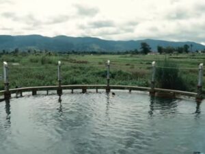 Cekricek.id, Objek Wisata - Negara Indonesia memiliki banyak objek wisata terkenal. Termasuk adanya objek wisata pemandian air soda di Tarutung