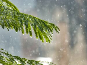 Cekricek.id, Objek Wisata - Ternyata ada satu desa yang dijuluki sebagai desa terbasah di dunia. Lantaran memiliki hujan abadi,