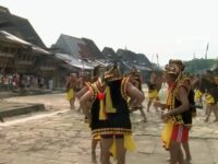 Cekricek.id, Objek Wisata - Ternyata adalah salah satu suku di Indonesia yang paling sulit ditaklukan oleh Belanda, ialah Suku Nias