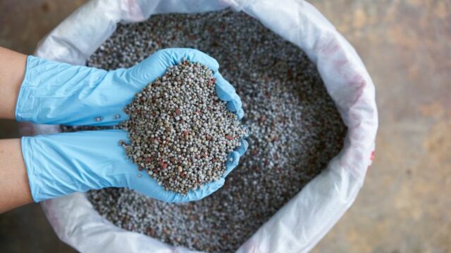 Selundupkan 54 Karung Pupuk Subsidi, 2 Orang Warga Situbondo Ditahan