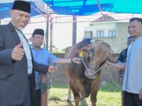 Hewan Kurban Presiden Jokowi dan Gubernur Mahyeldi Ansharullah Dibagikan kepada 800 KK di Sekitar Masjid Raya Sumbar