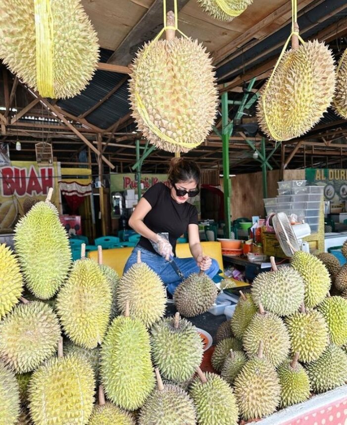 Cekricek.id, Jakarta, berita artis dan berita seleb - Ghea Youbi Lagi-Lagi Alih Profesi Jadi Tukang Duren, Tapi Nggak Direstui Netizen: Jadi Istri Aja