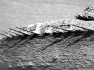 Apakah paku pasir di Mars adalah bukti UFO? Para ilmuwan berdebat tentang asal usul gumpalan misterius