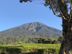 Gunung Dempo Erupsi: Update Terkini dari Pos Pemantau Gunung Api