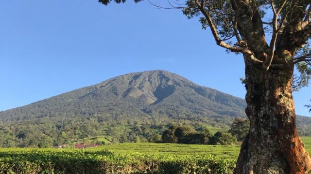 Gunung Dempo Erupsi: Update Terkini dari Pos Pemantau Gunung Api