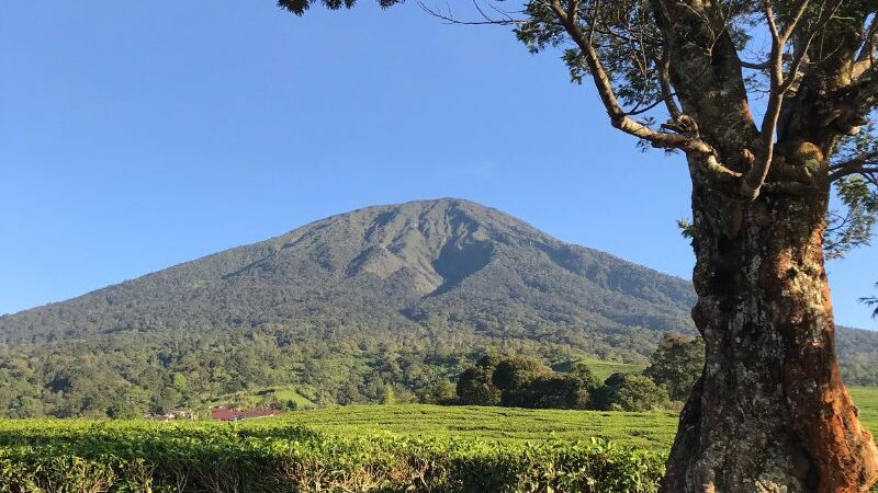 Gunung Dempo Erupsi: Update Terkini dari Pos Pemantau Gunung Api