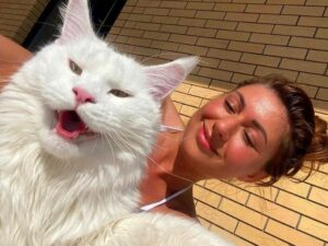 Kefir, Kucing Terbesar di Dunia yang Bisa Membuka Pintu dan Memiliki Ribuan Penggemar