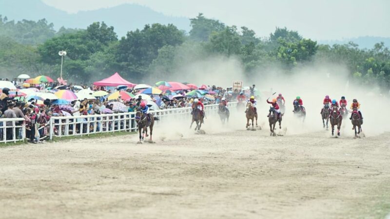 Lomba Pacuan Kuda Piala Gubernur Sumbar Oktober Mendatang: Tradisi dan Harapan Baru Wisata Sumatera Barat