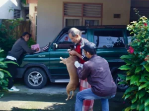 Vaksinasi Rabies di Padang Panjang Capai 1.452 Hewan dalam Sebulan