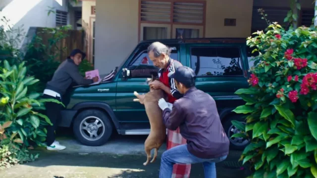 Vaksinasi Rabies di Padang Panjang Capai 1.452 Hewan dalam Sebulan
