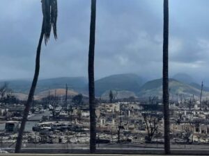 Update Tragedi Kebakaran Maui, Hawaii: 67 Orang Meninggal, Sistem Peringatan yang Tidak Berfungsi Diselidiki