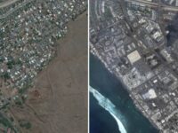 Citra Satelit Sebelum dan Sesudah Kebakaran Maui, Hawaii