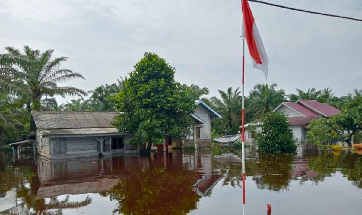 Banjir Pesisir Selatan: BPBD Tetap Waspada Meski Telah Surut 2 Banjir Pesisir Selatan: BPBD Tetap Waspada Meski Telah Surut