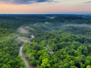 30 Tahun Lagi, Hutan Sumbar Punah? Yozarwardi, Kepala Dinas Kehutanan Sumbar Beri Isyarat Lewat Lagu!