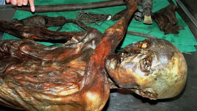 Terungkap! Wajah Asli Ötzi Manusia Es: Bukan Berkulit Terang, Tapi Gelap!