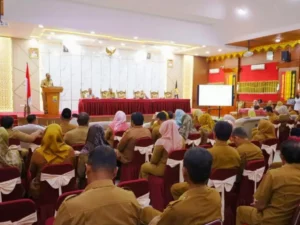 Langkah Strategis Pemerintah Kota Pariaman dalam Menangani Stunting di Tahun 2023