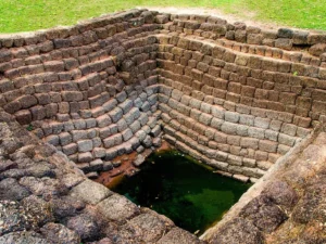 Batu Bata Kuno 2.900 Tahun Ungkap DNA Tumbuhan Kuno: Jendela ke Keanekaragaman Hayati Masa Lalu