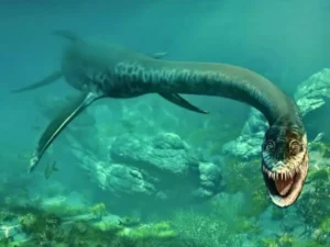 Penemuan Heboh: Fosil Makhluk Laut Purba Zaman Jurassic Ditemukan di Texas