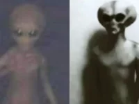 Pria Ini Ungkap Foto Alien di Meksiko: Misteri di Balik Penampakan