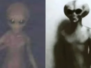 Pria Ini Ungkap Foto Alien di Meksiko: Misteri di Balik Penampakan
