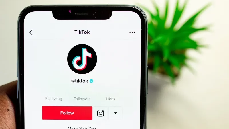 TikTok Dilarang: 6 Juta Pedagang Terancam Rugi