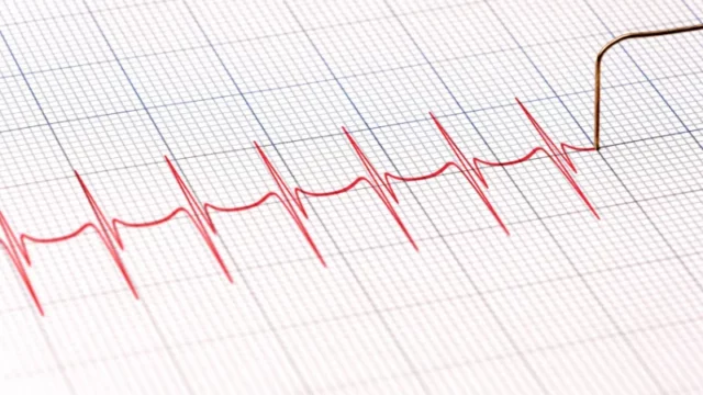 Detik-detik Perdana Jantung Mulai Berdetak pada Embrio