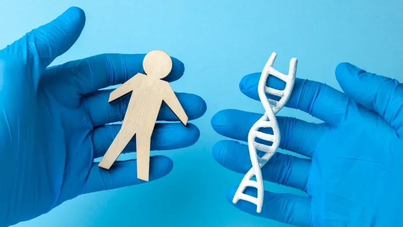 Penelitian Baru Ungkap Fungsi Sebenarnya dari Kromosom Y pada Pria