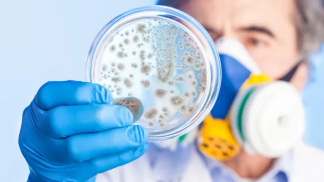 5 Orang Meninggal Akibat Bakteri Pemakan Daging di AS