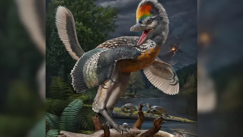 Fujianvenator Prodigiosus: Temuan Dinosaurus Mirip Burung dari Era Jura yang Mengubah Narasi Evolusi Burung