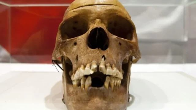 Tengkorak yang Dicuri Jerman Akhirnya 