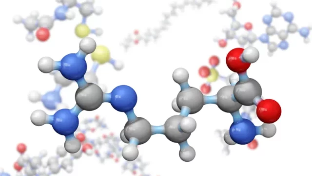 Dance Atomik dalam Tubuh: Bagaimana Makanan Berubah Menjadi Energi?