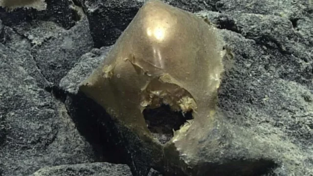 Penemuan Bola Emas di Dasar Laut Alaska Masih Menjadi Teka Teki