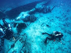 Puing Bomber Amerika dari PD II dan Misteri Sgt. Irving R. Newman Ditemukan