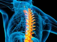 Apa penyebab kanker payudara sering menyebar ke tulang belakang? Penemuan sel punca baru mungkin memberikan jawabannya. Sebuah penelitian membuka wawasan baru dalam bidang onkologi.