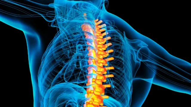 Apa penyebab kanker payudara sering menyebar ke tulang belakang? Penemuan sel punca baru mungkin memberikan jawabannya. Sebuah penelitian membuka wawasan baru dalam bidang onkologi.