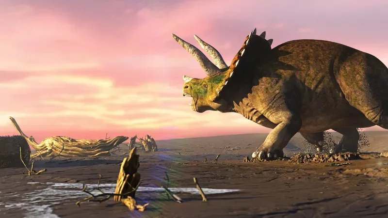 Angiospermae, tumbuhan berbunga, telah bertahan dari kepunahan masal dan mungkin menjadi kunci masa depan kehidupan di Bumi.