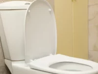 Toilet cetak 3D baru dari Tiongkok menawarkan solusi hemat air dengan permukaan super licin yang inovatif.