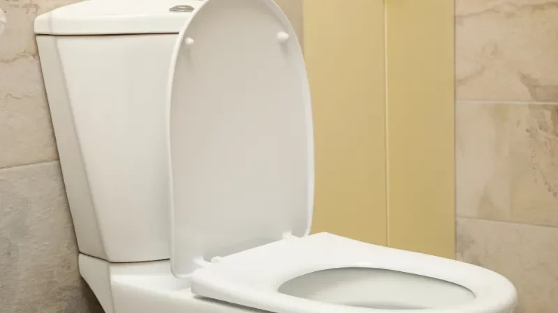 Toilet cetak 3D baru dari Tiongkok menawarkan solusi hemat air dengan permukaan super licin yang inovatif.