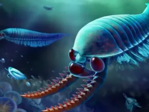 Monster Fosil Tiga Mata: Penemuan 520 Juta Tahun Lalu Ungkap Evolusi Hewan Purba