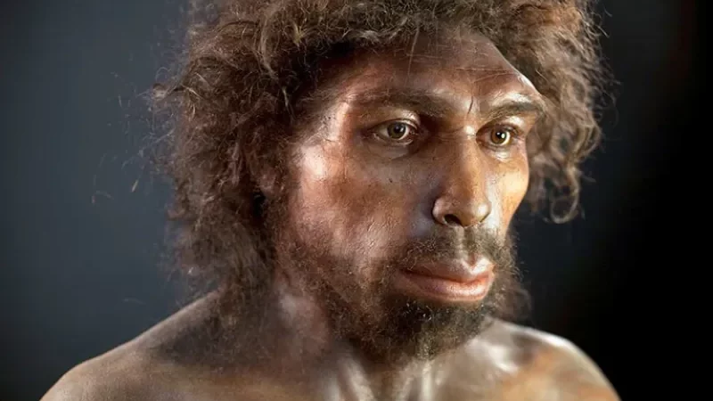 Misteri Nenek Moyang Manusia, Hampir Punah 900.000 Tahun Lalu