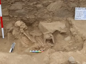 Penemuan Situs Pemakaman Kuno di Peru: Jejak Budaya Wari Sebelum Kekaisaran Inca