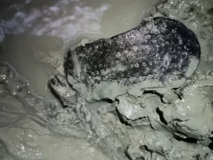 Cekricek.id - Sandal Romawi Berusia 2000 Tahun Ditemukan di Spanyol