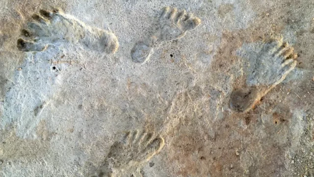 Peneliti Simpulkan Jejak Kaki Purba di Amerika Utara Berusia 23.000 Tahun