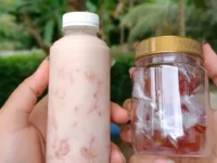 Mengangkat Asam Kandis Menjadi Magnet Wisata di Desa Wisata Nyarai