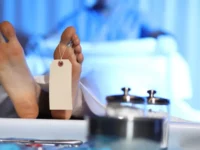 Cekricek.id: Tragis, Suami di Malang Mutilasi Istri Hingga Tewas