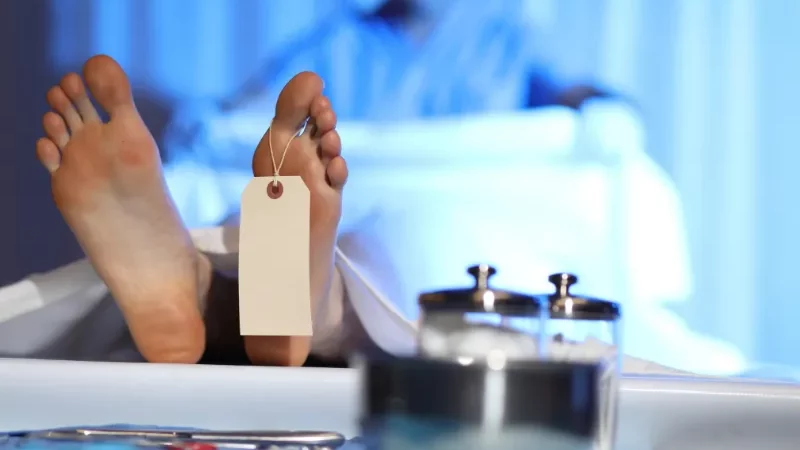 Cekricek.id: Tragis, Suami di Malang Mutilasi Istri Hingga Tewas