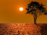 Cekricek.id - 2023 Diprediksi sebagai Tahun Terpanas Sepanjang Sejarah